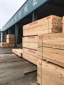 荆州工地用的建筑木方有哪几种 都用在哪里